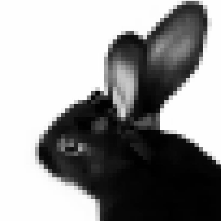 Black Rabbit logo